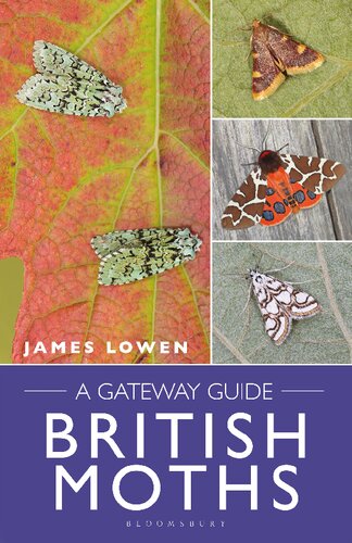 British Moths A Gateway Guide Lowen James