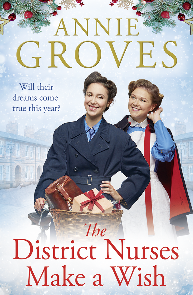 The District Nurses Make A Wish The District Nurses Book 5 Annie Groves