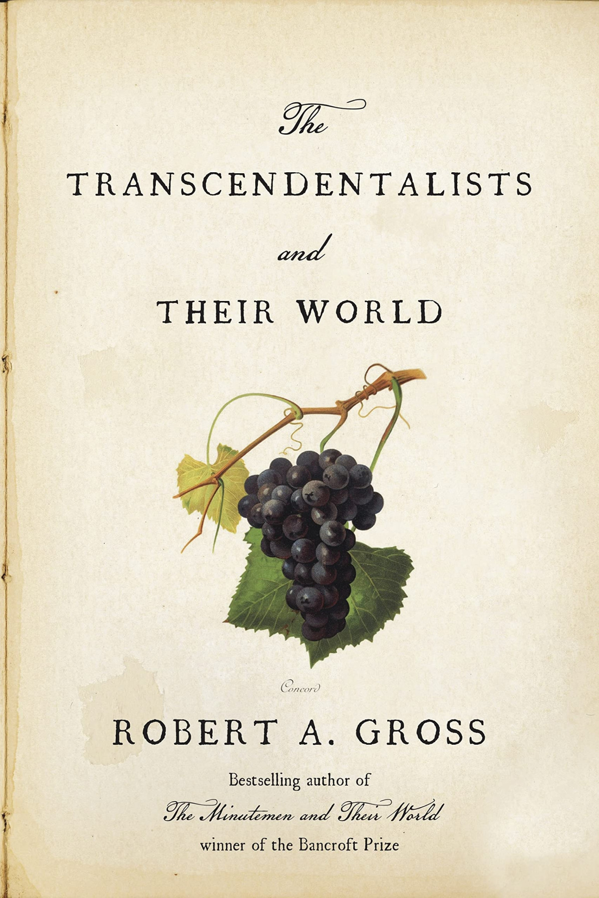 The Transcendentalists And Their World Robert A Gross