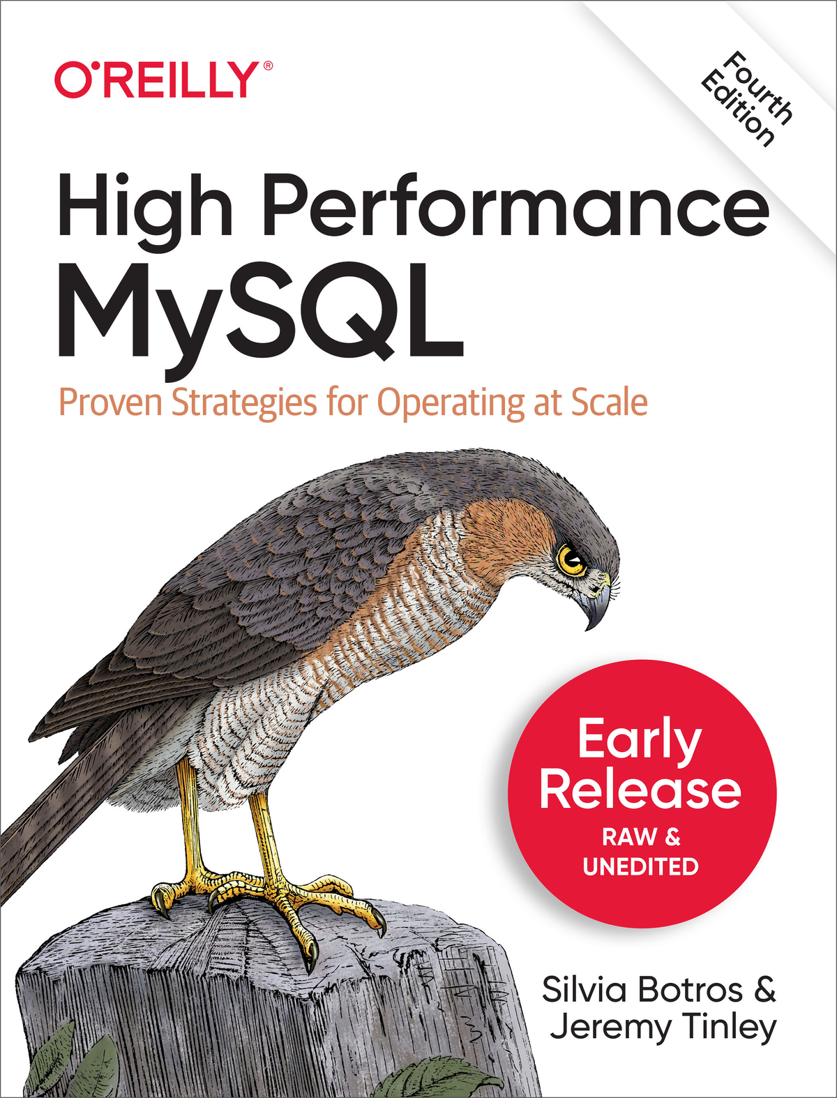 High Performance Mysql 4th Edition 3rd Early Release 4 20211112 Third Early Release Silvia Botros Jeremy Tinley