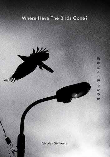 Where Have The Birds Gone Nicolas Stpierre