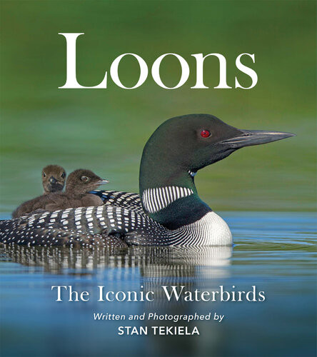 Loons The Iconic Waterbirds Stan Tekiela