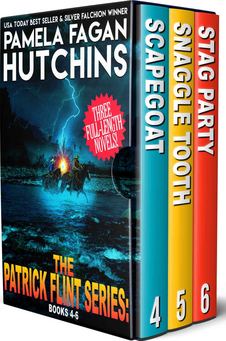 The Patrick Flint Series Books 46 Pamela Fagan Hutchins
