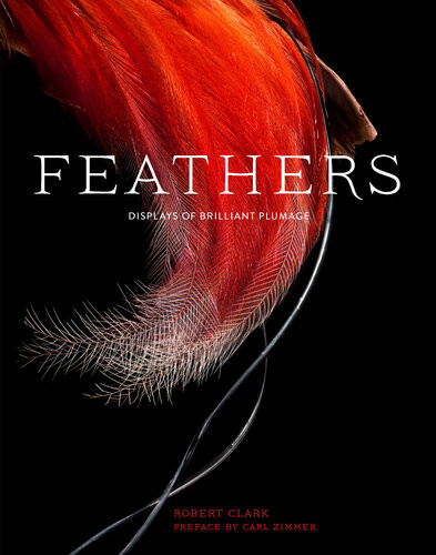 Feathers Displays Of Brilliant Plumage 2nd Edition Robert Clark
