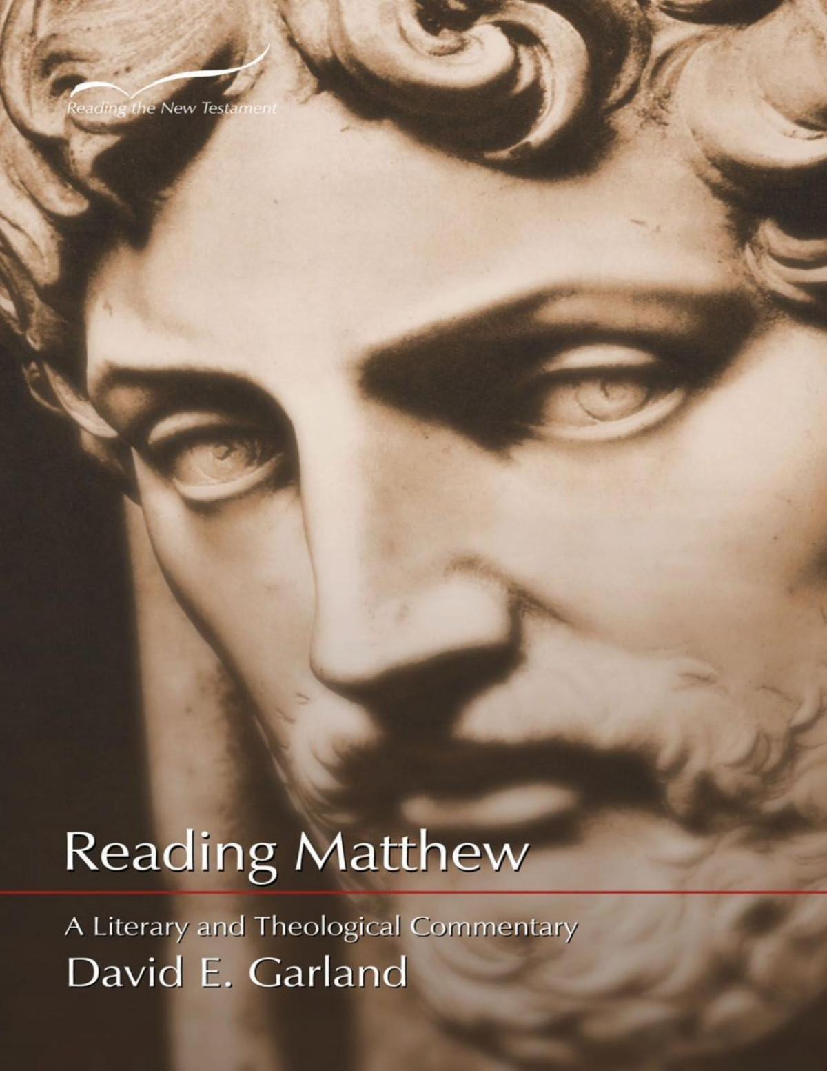 Reading Matthew A Literary And Theological Commentary David E Garland