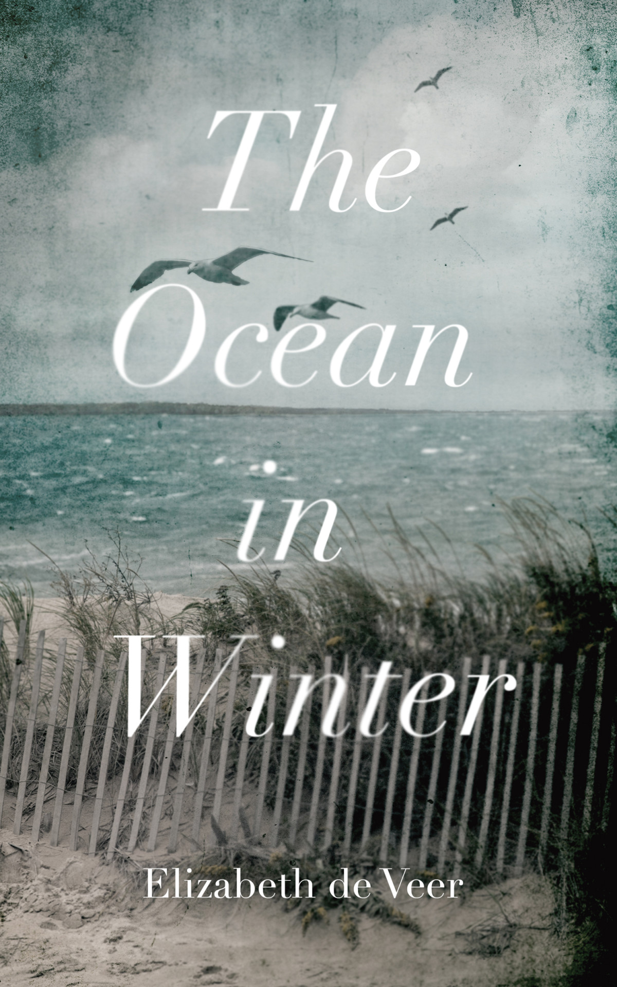 The Ocean In Winter Elizabeth De Veer