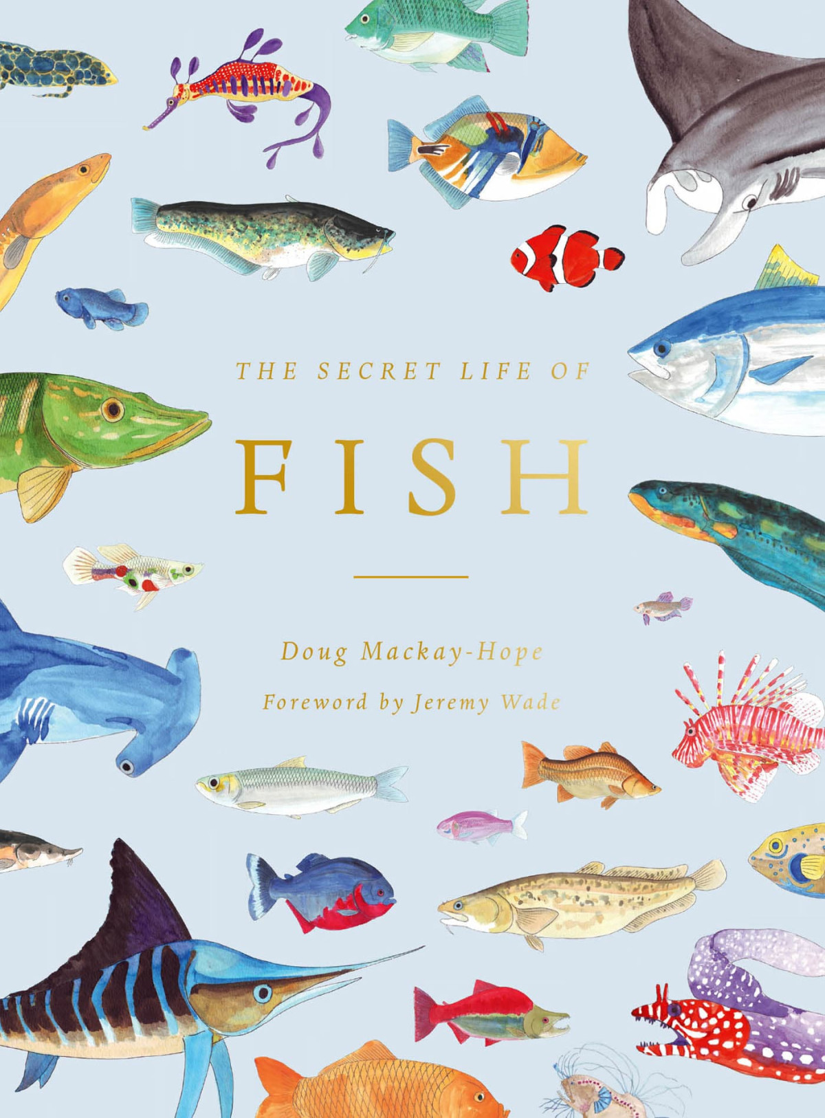 The Secret Life Of Fish The Astonishing Truth About Our Aquatic Cousins Doug Mackayhope