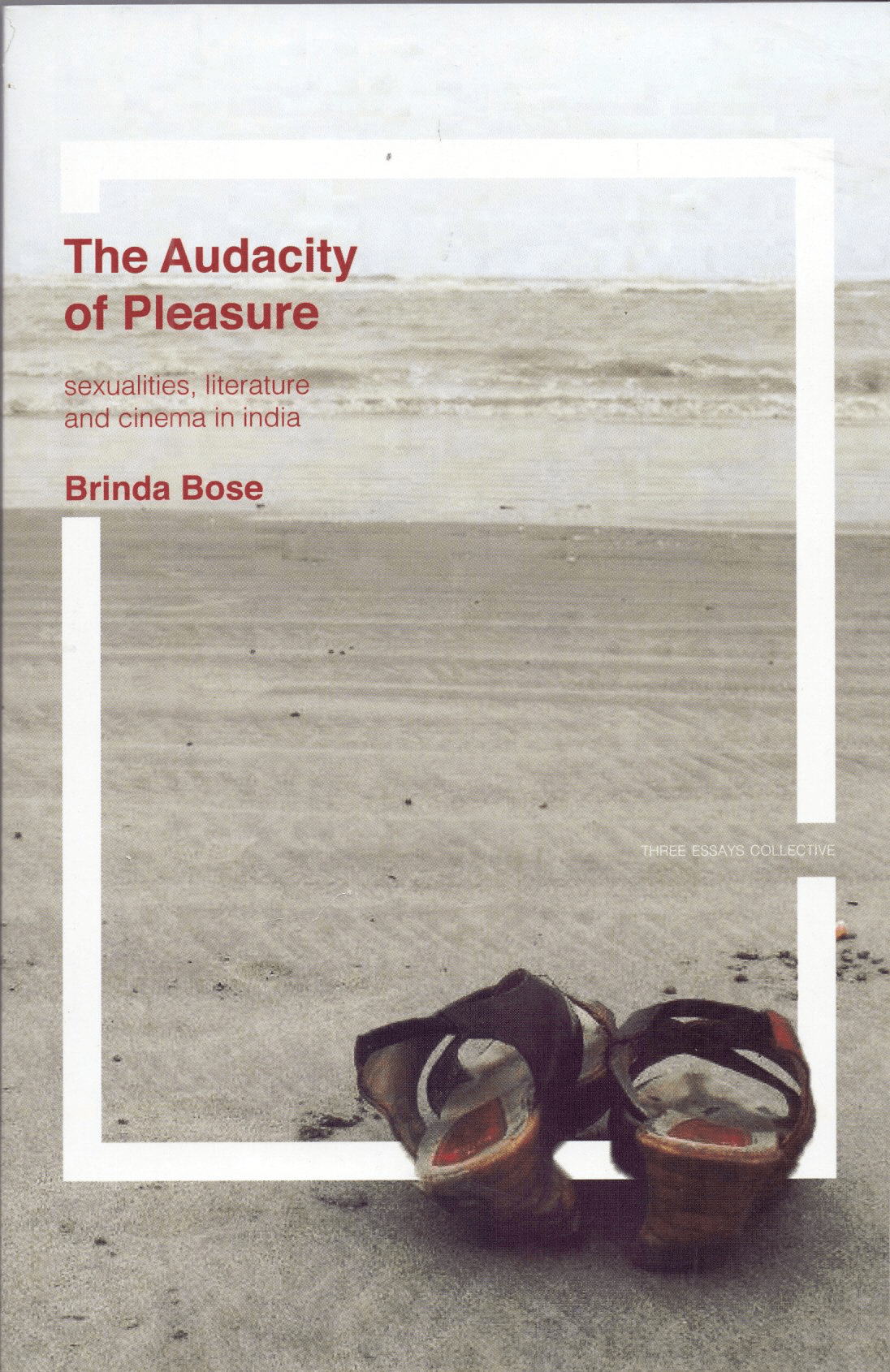 The Audacity Of Pleasure Sexualities Literature And Cinema In India 1st Edition Brinda Bose