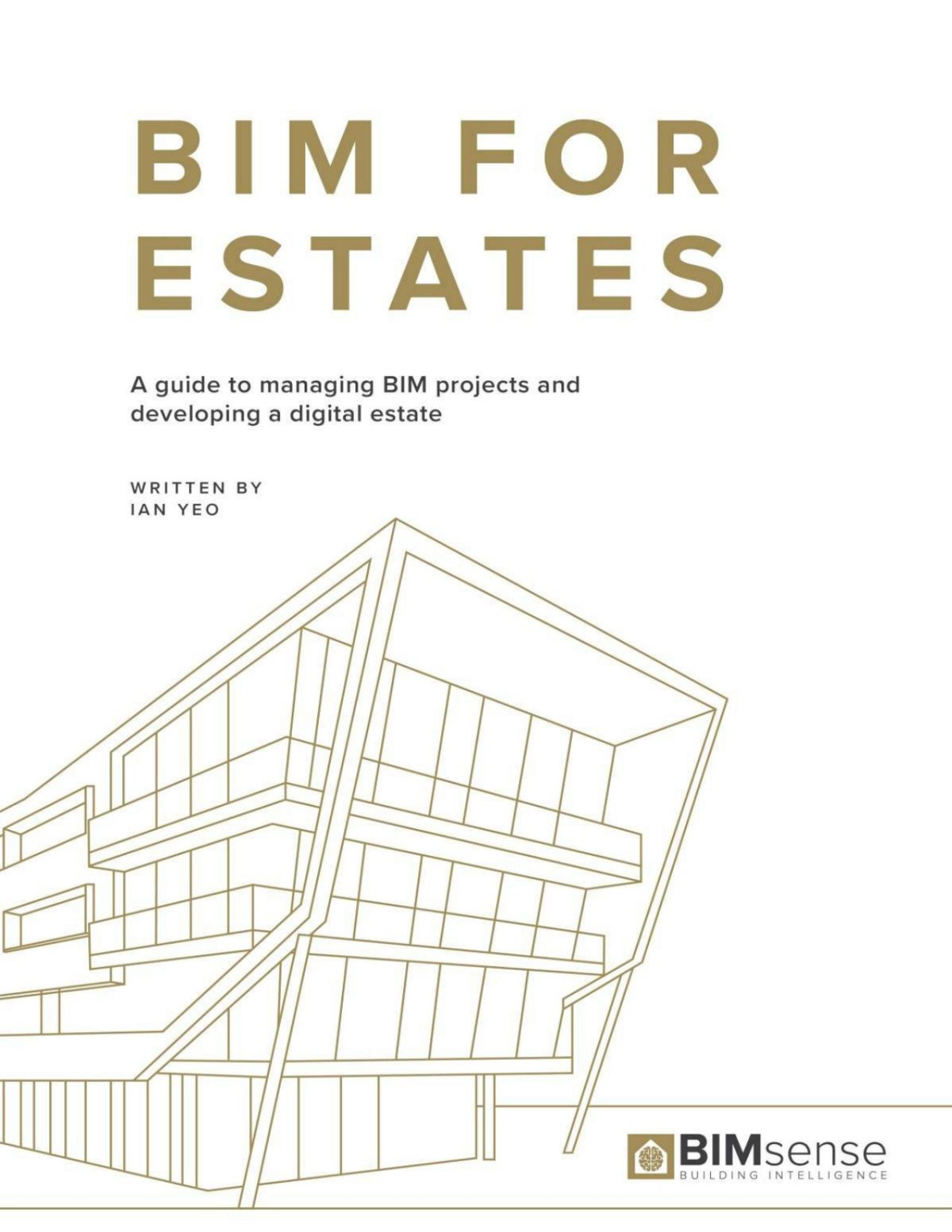 Bim For Estates A Guide To Managing Bim Projects And Developing A Digital Estate Ian Yeo
