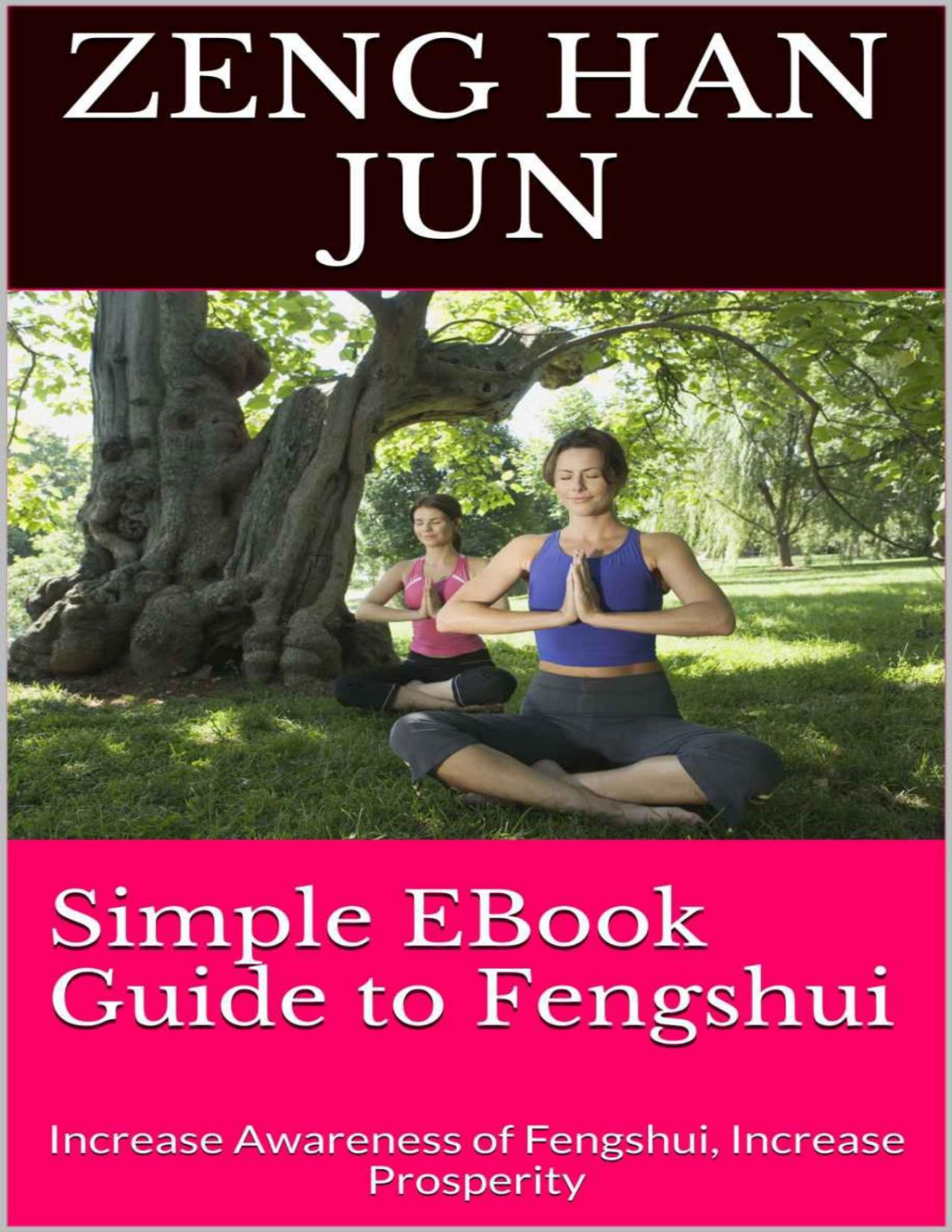 Simple Ebook Guide To Fengshui Increase Awareness Of Fengshui Increase Prosperity Zeng Han Jun