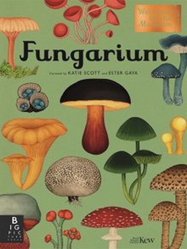 Fungarium Katie Scott Ester Gaya