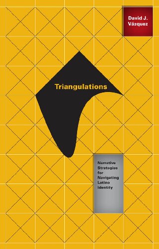 Triangulations Narrative Strategies For Navigating Latino Identity 1st Edition David J Vzquez
