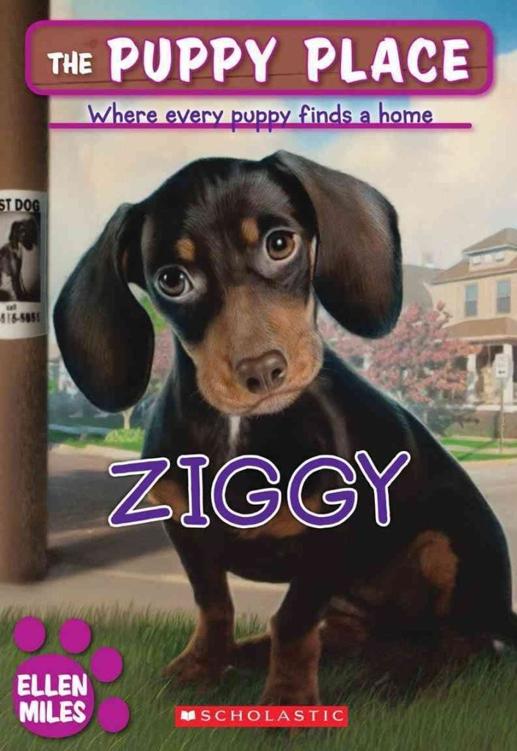 Ziggy Ellen Miles