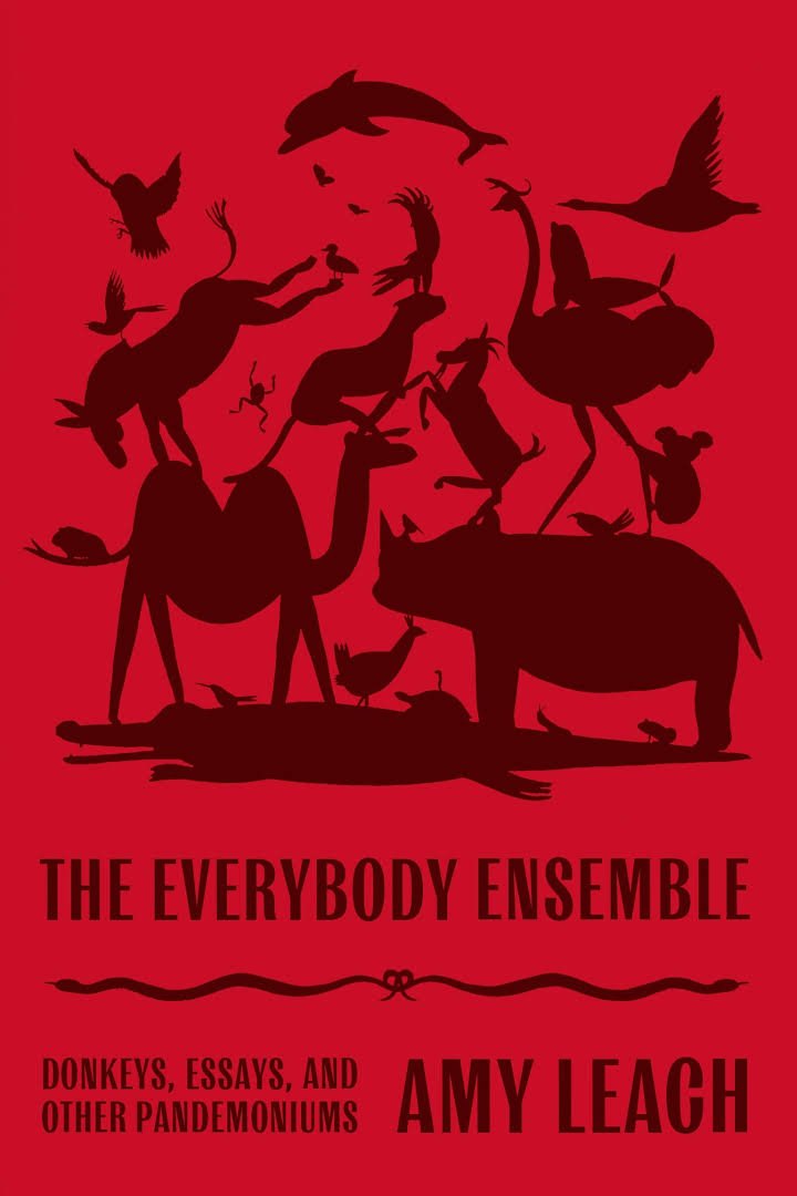 The Everybody Ensemble Donkeys Essays And Other Pandemoniums Leach