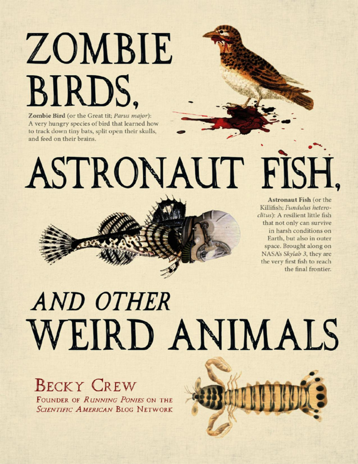 Zombie Birds Astronaut Fish And Other Weird Animals 6th Edition Becky Crew