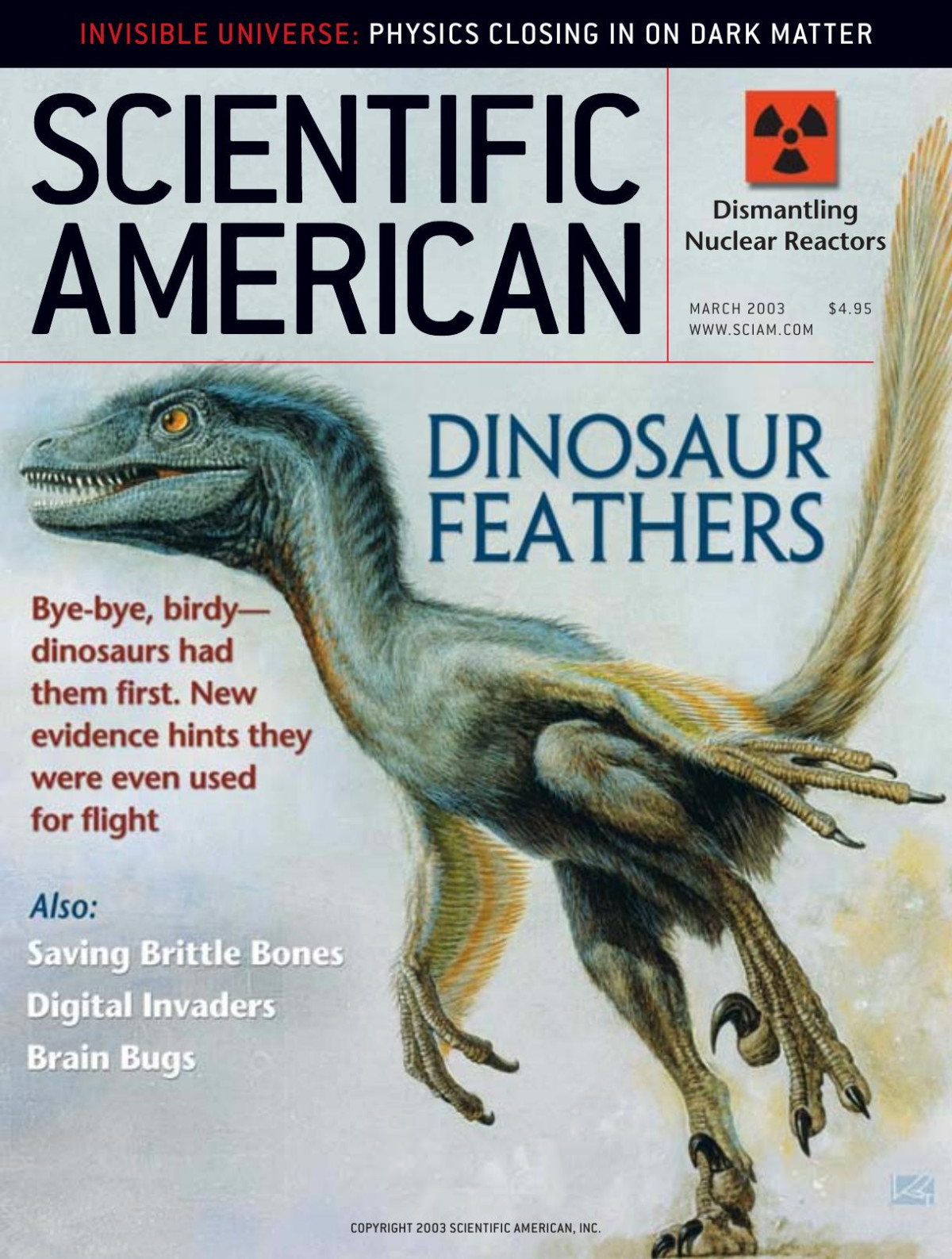 Dinosaur Feathers Scientific American 2883 1st Edition Scientific American