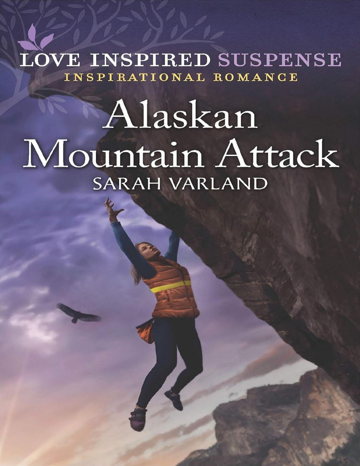 Alaskan Mountain Attack Sarah Varland