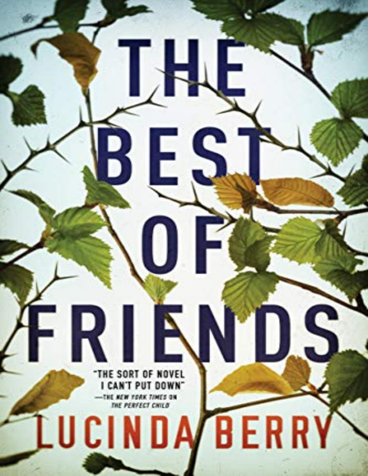 The Best Of Friends Lucinda Berry