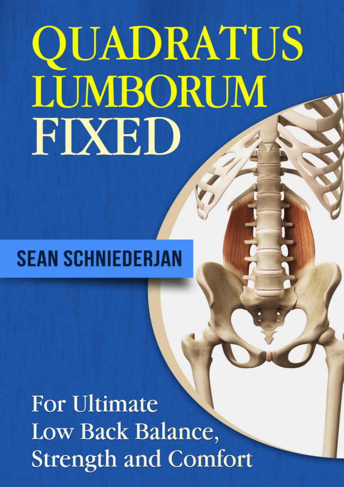 Quadratus Lumborum Fixed For Ultimate Low Back Balance Strength And Comfort Simple Strength Book 14 Sean Schniederjan