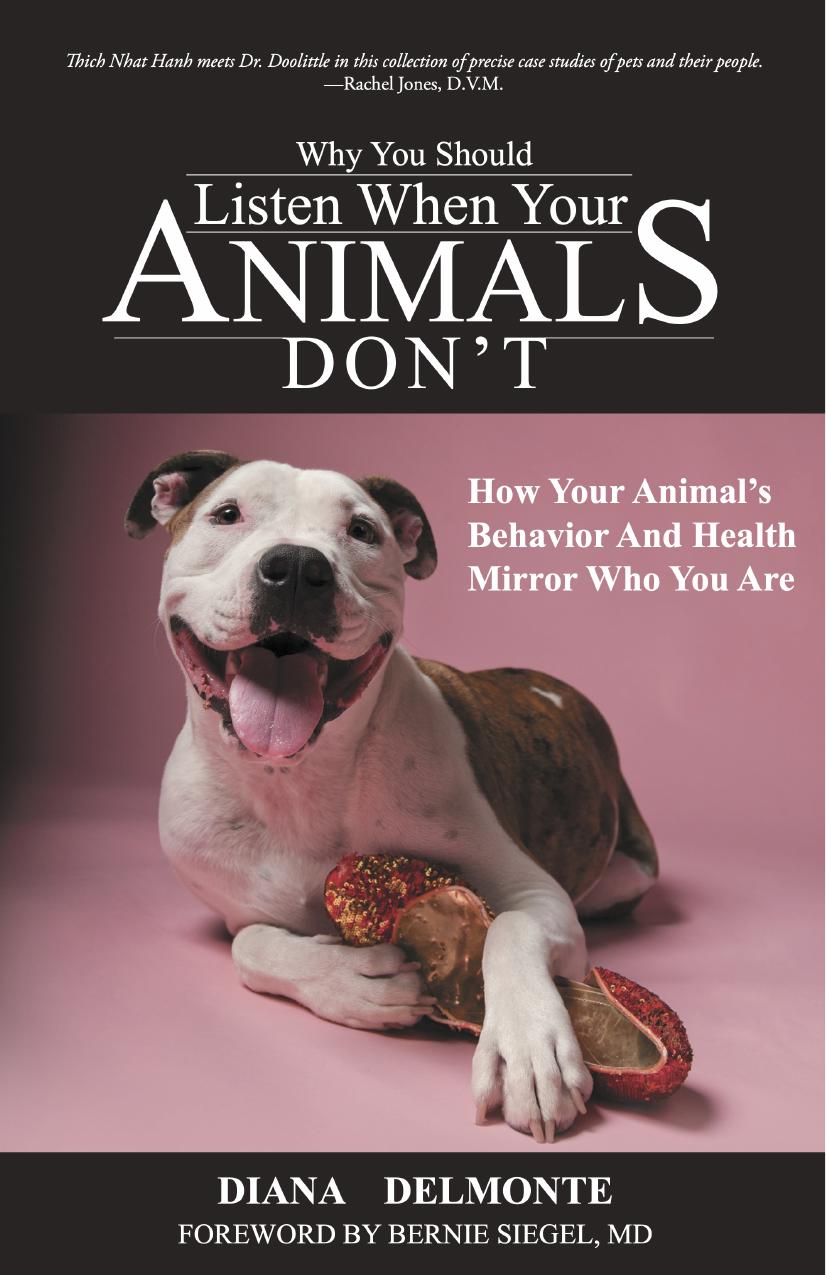 Why You Should Listen When Your Animals Dont Diana Delmonte