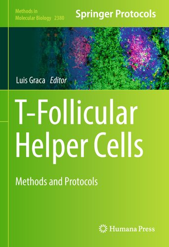 Tfollicular Helper Cells Luis Graca
