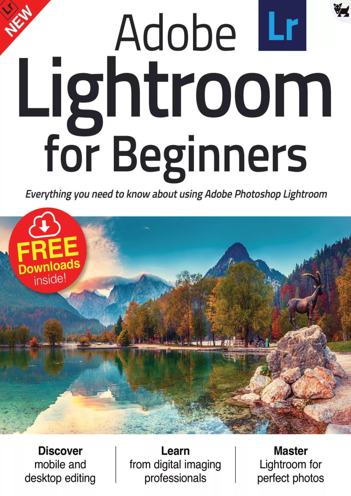 Adobe Lightroom For Beginners Volume 22 2021