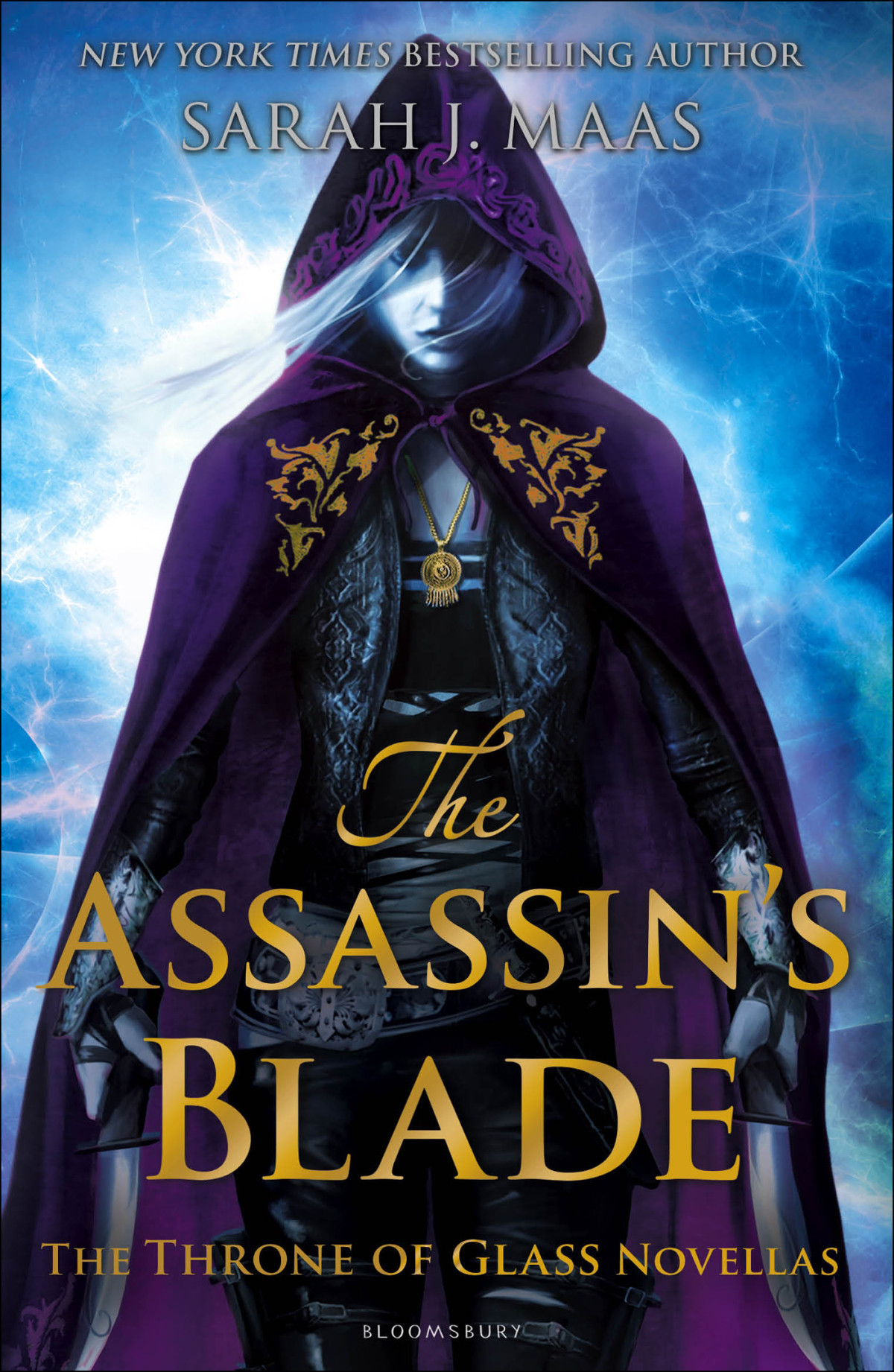 The Assassins Blade Sarah J Maas