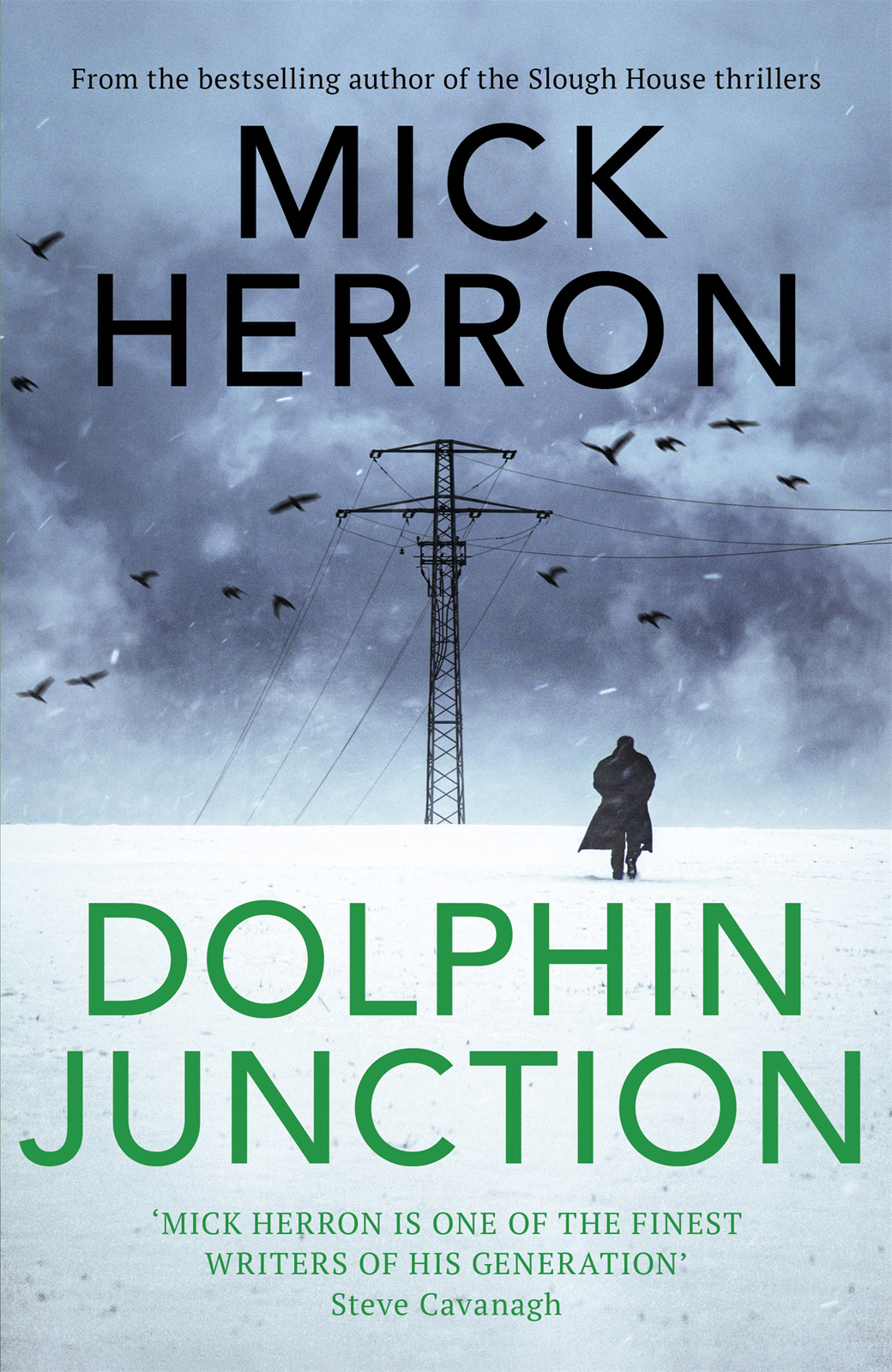 Dolphin Junction Mick Herron