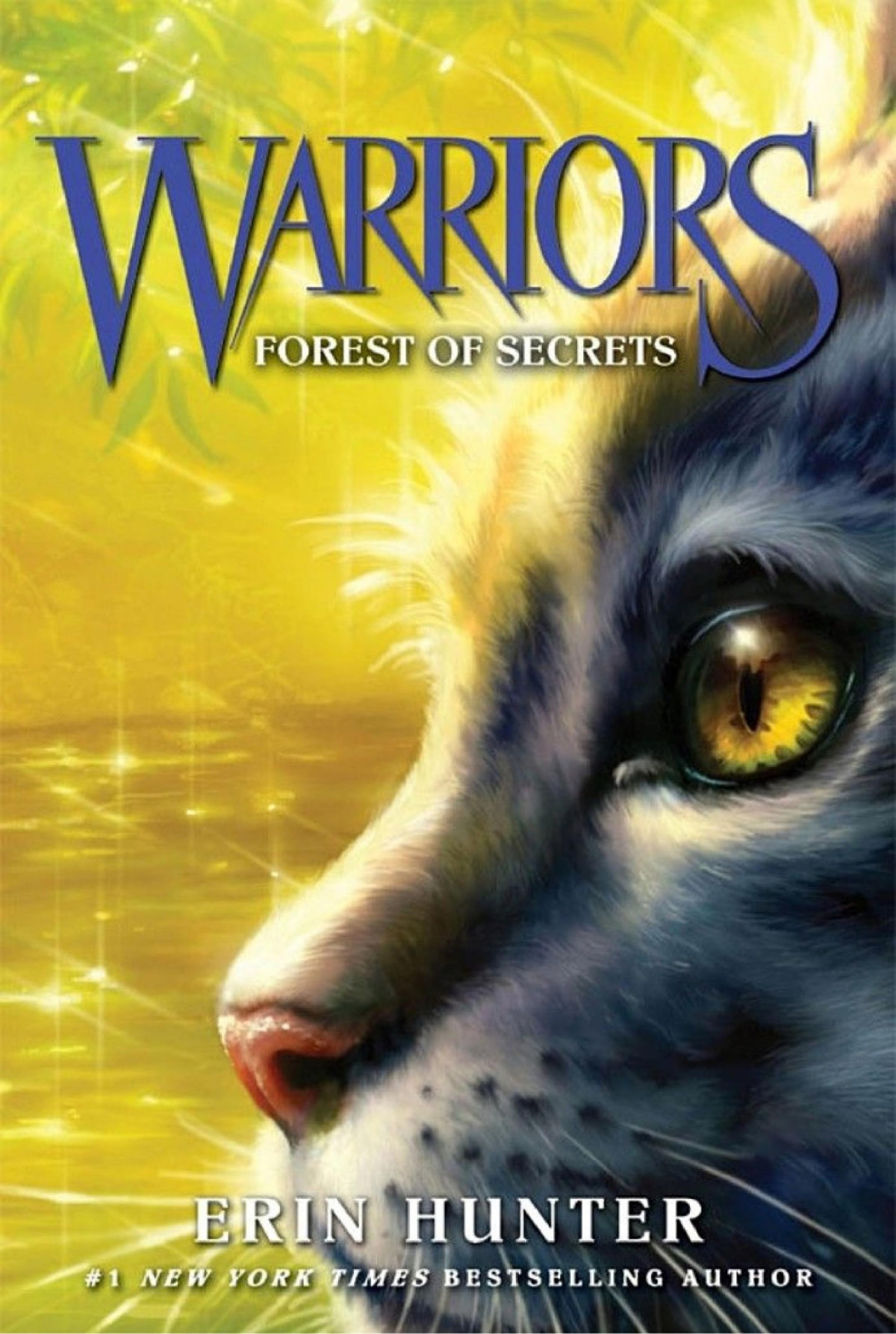 Warriors 3 Forest Of Secrets Warriors The Original Series Erin Hunter