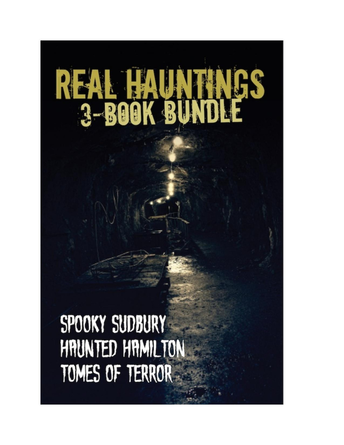 Real Hauntings 3book Bundle Spooky Sudbury Haunted Hamilton And Tomes Of Terror Mark Leslie
