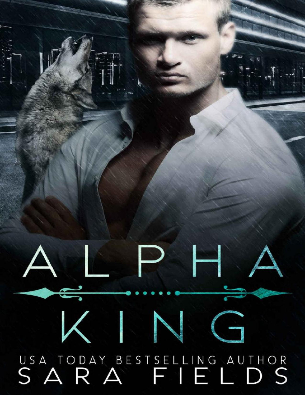 Alpha King A Dark Mafia Shifter Romance Sara Fields