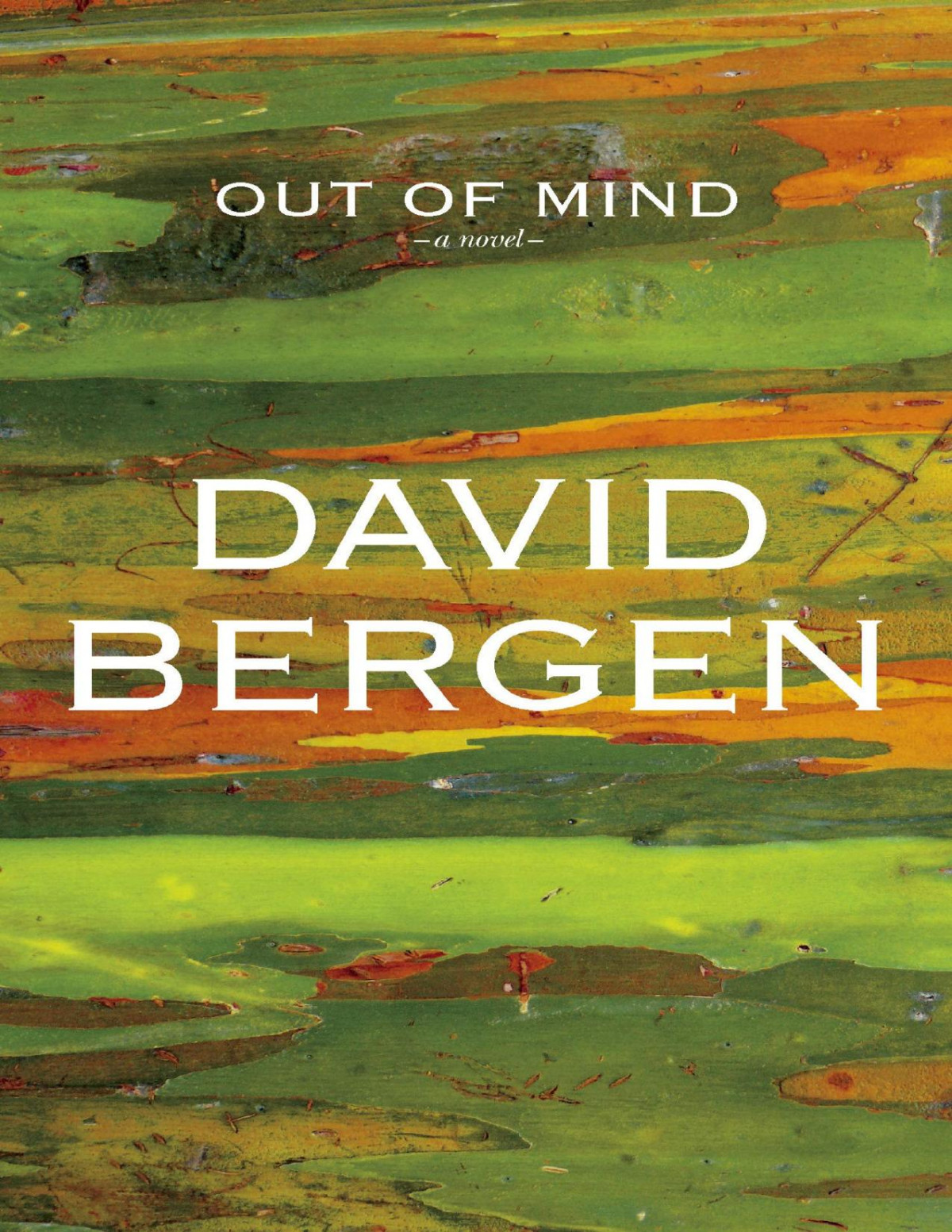 Out Of Mind David Bergen