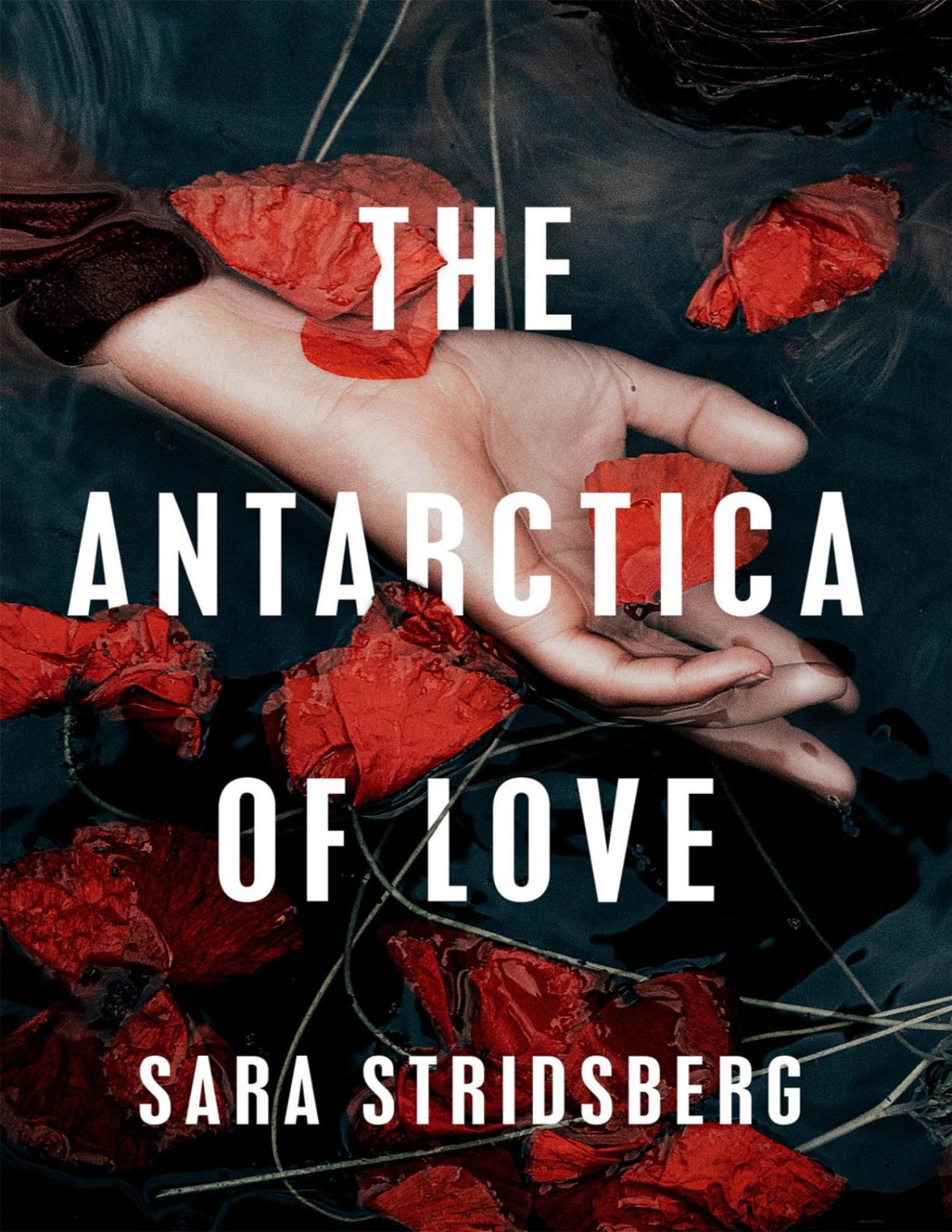 The Antarctica Of Love Sara Stridsberg