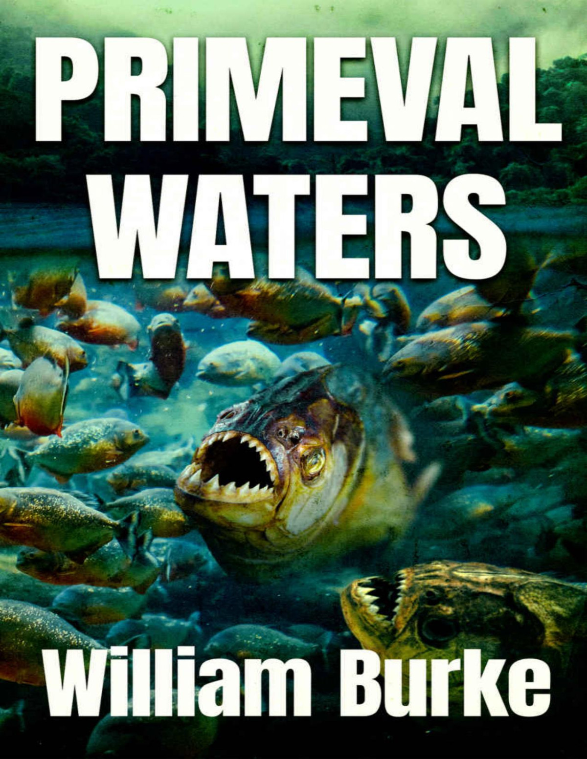 Primeval Waters William Burke