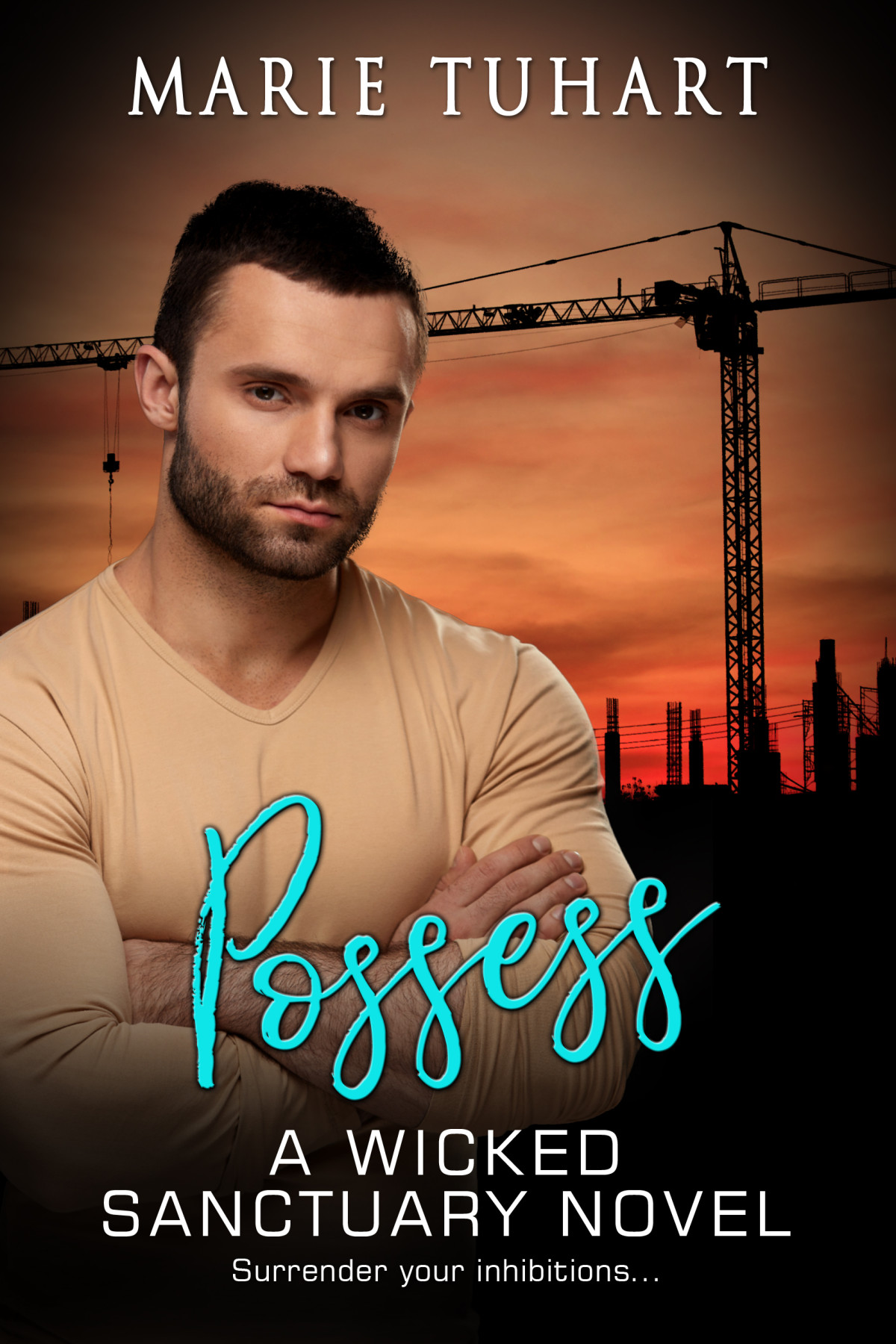 Possess A Wicked Sanctuary Novel Marie Tuhart