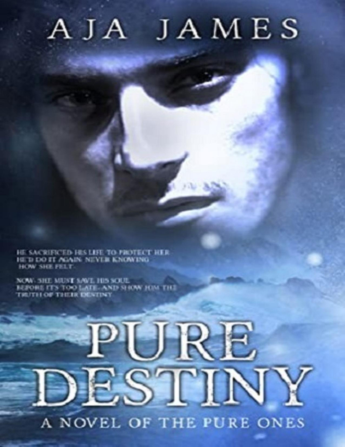 Pure Destiny Puredark Ones 12 Aja James