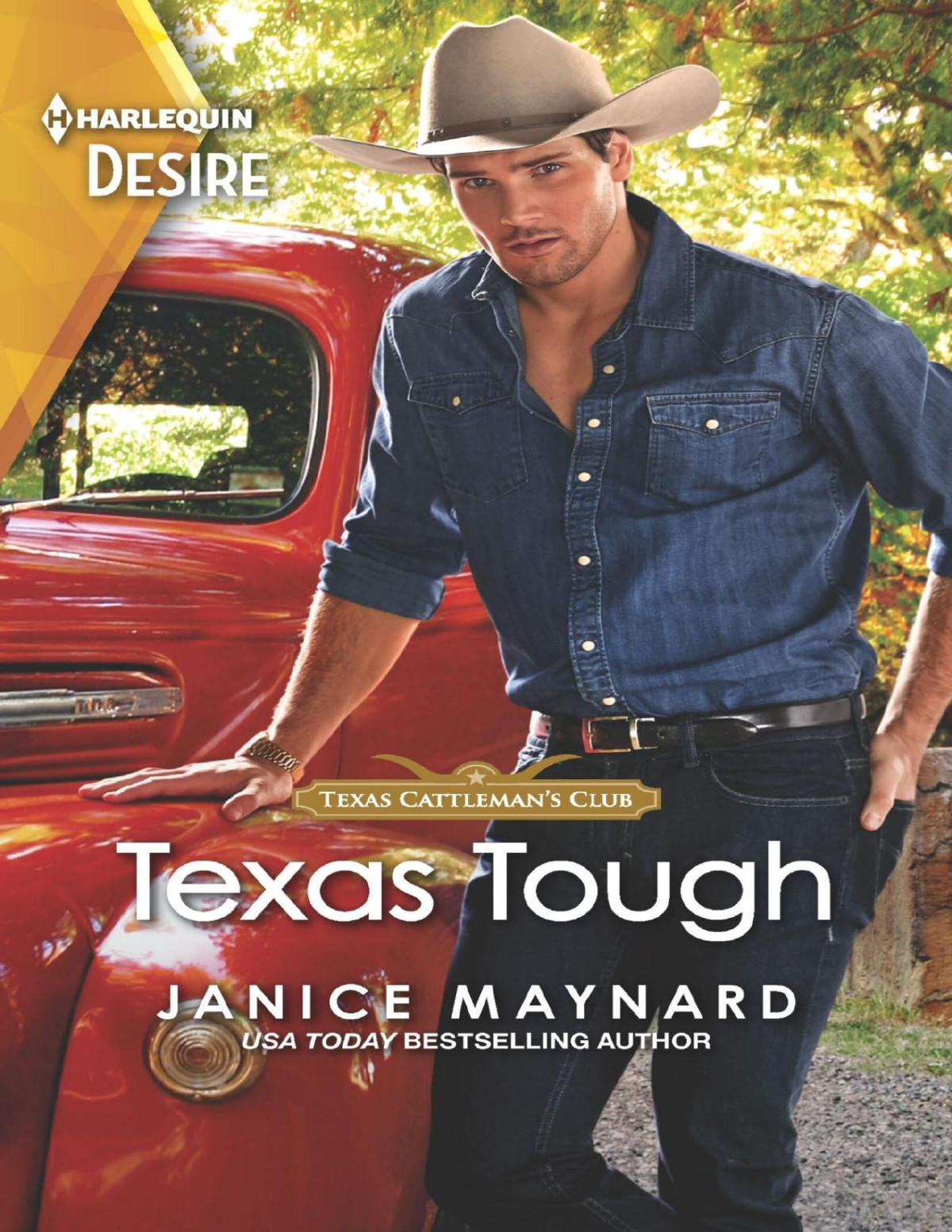 Texas Tough Janice Maynard