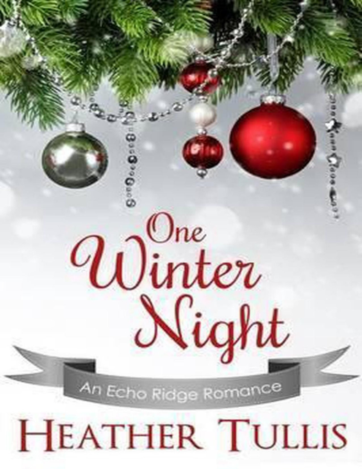 One Winter Night Heather Tullis
