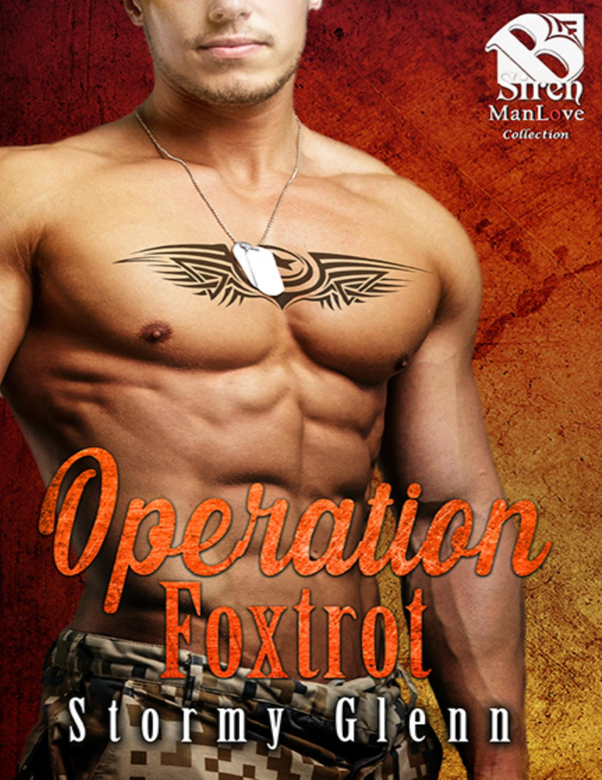 Operation Foxtrot Geek Squad Book 2 Stormy Glenn