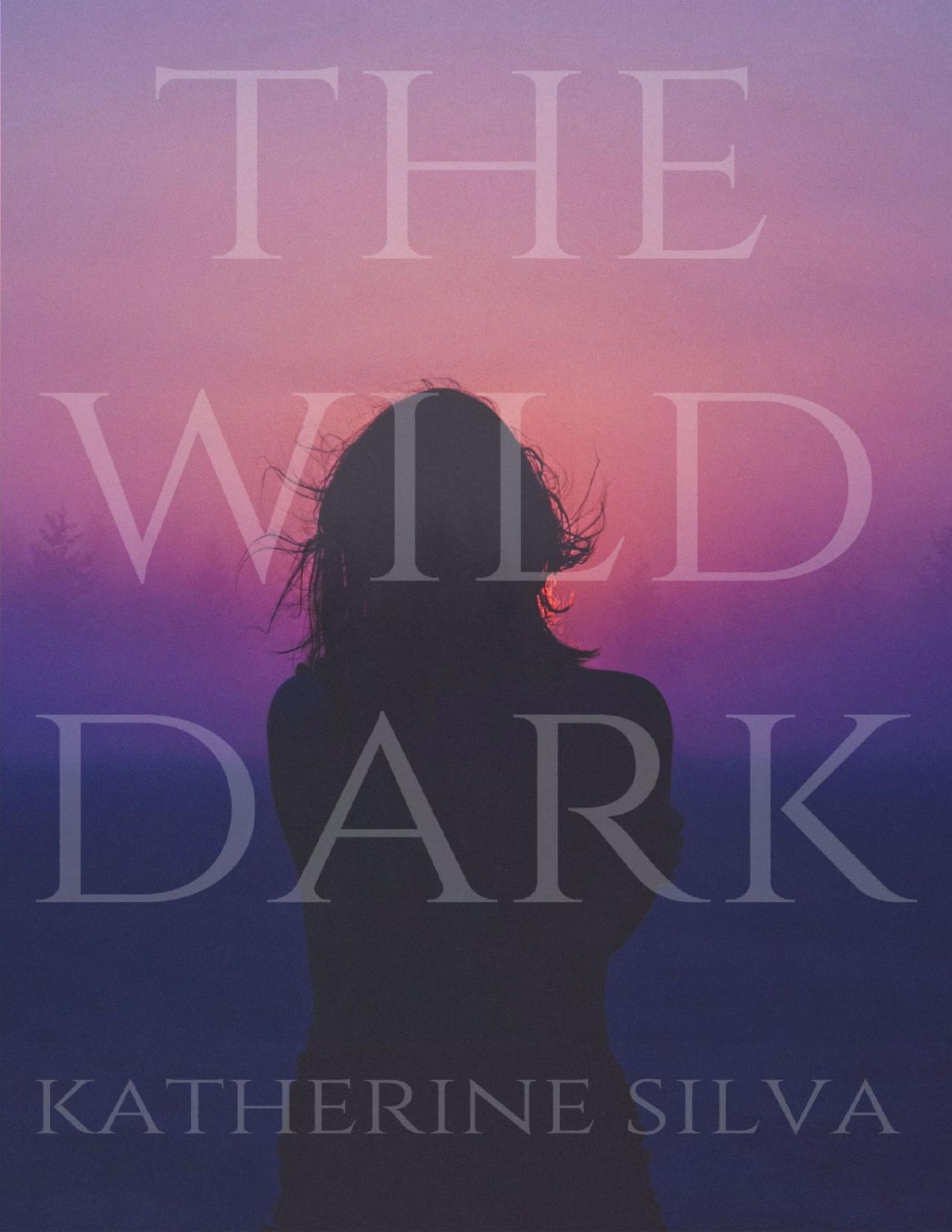 The Wild Dark Katherine Silva