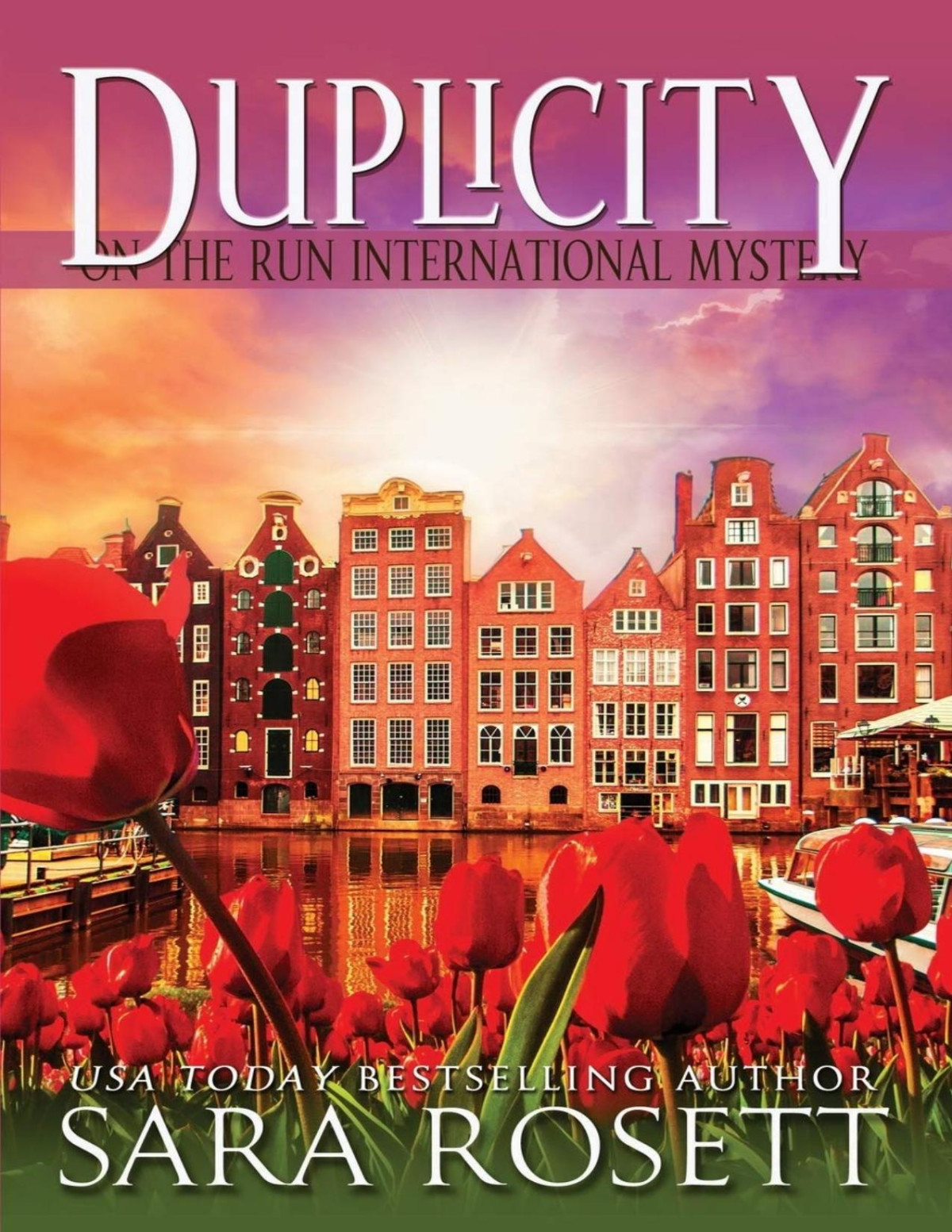 Duplicity Sara Rosett