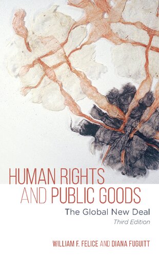 Human Rights And Public Goods The Global New Deal 3rd Edition William F Felice
