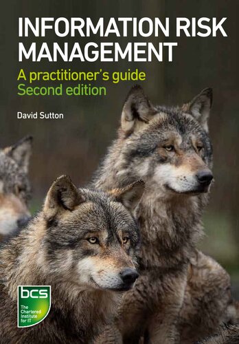 Information Risk Management Second Edition 2nd Edition David Sutton