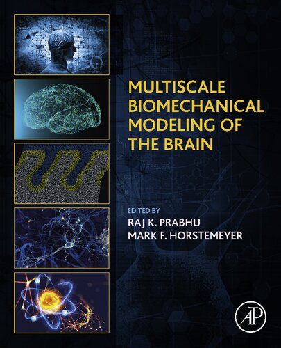 Multiscale Biomechanical Modeling Of The Brain 1st Edition Mark F Horstemeyer Editor