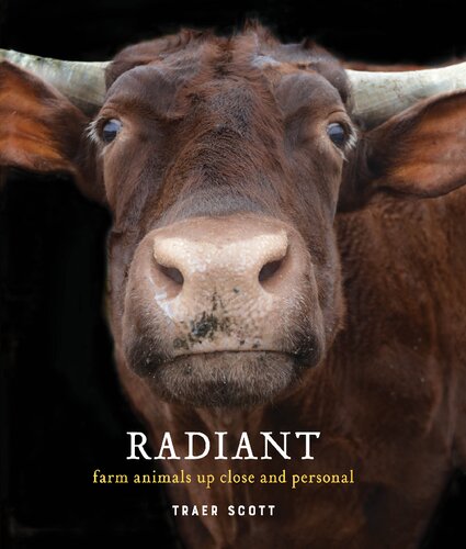 Radiant Farm Animals Up Close And Personal Traer Scott