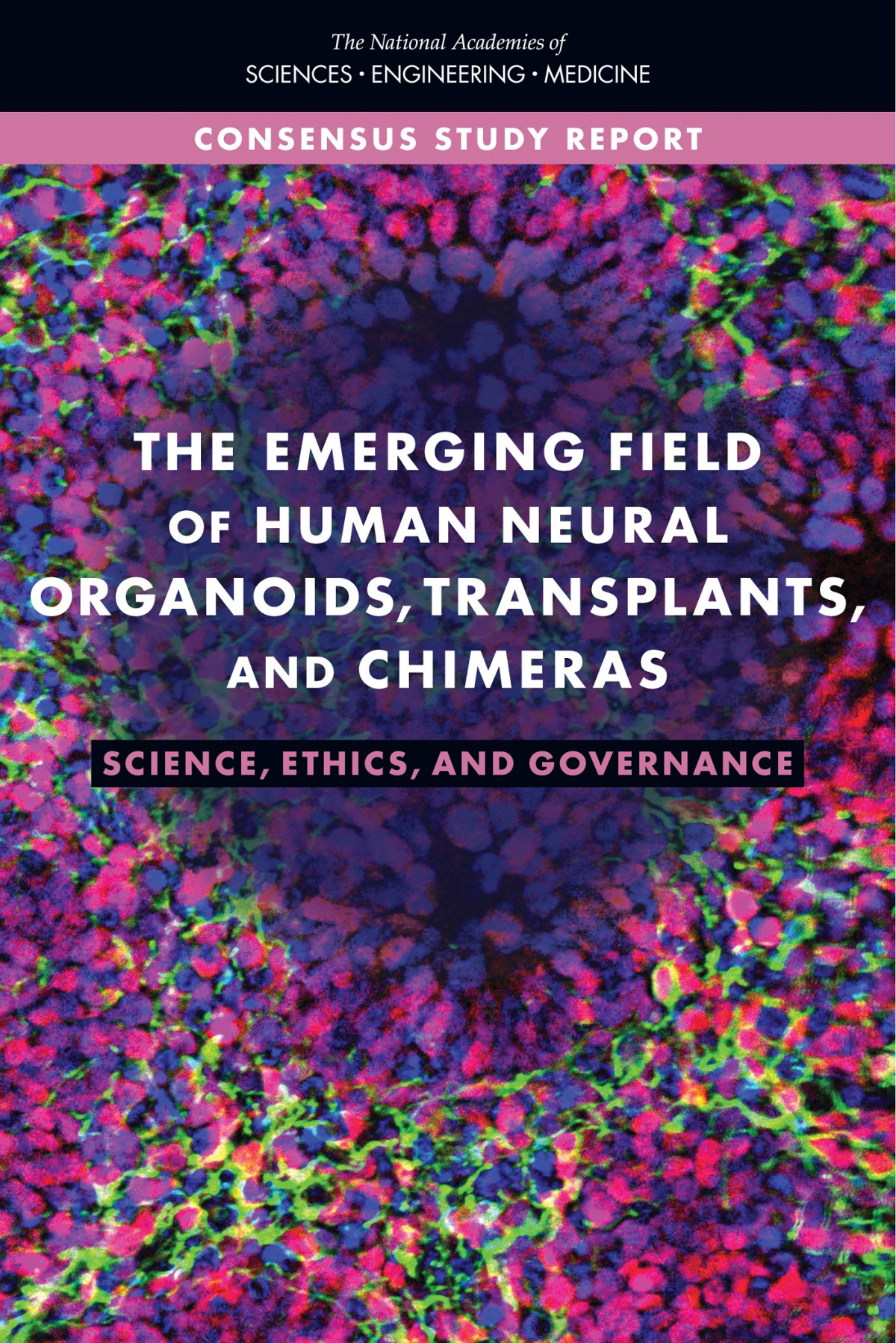 The Emerging Field Of Human Neural Organoids Transplants And Chimeras Science Ethics And Governance National Academies Of Sciences