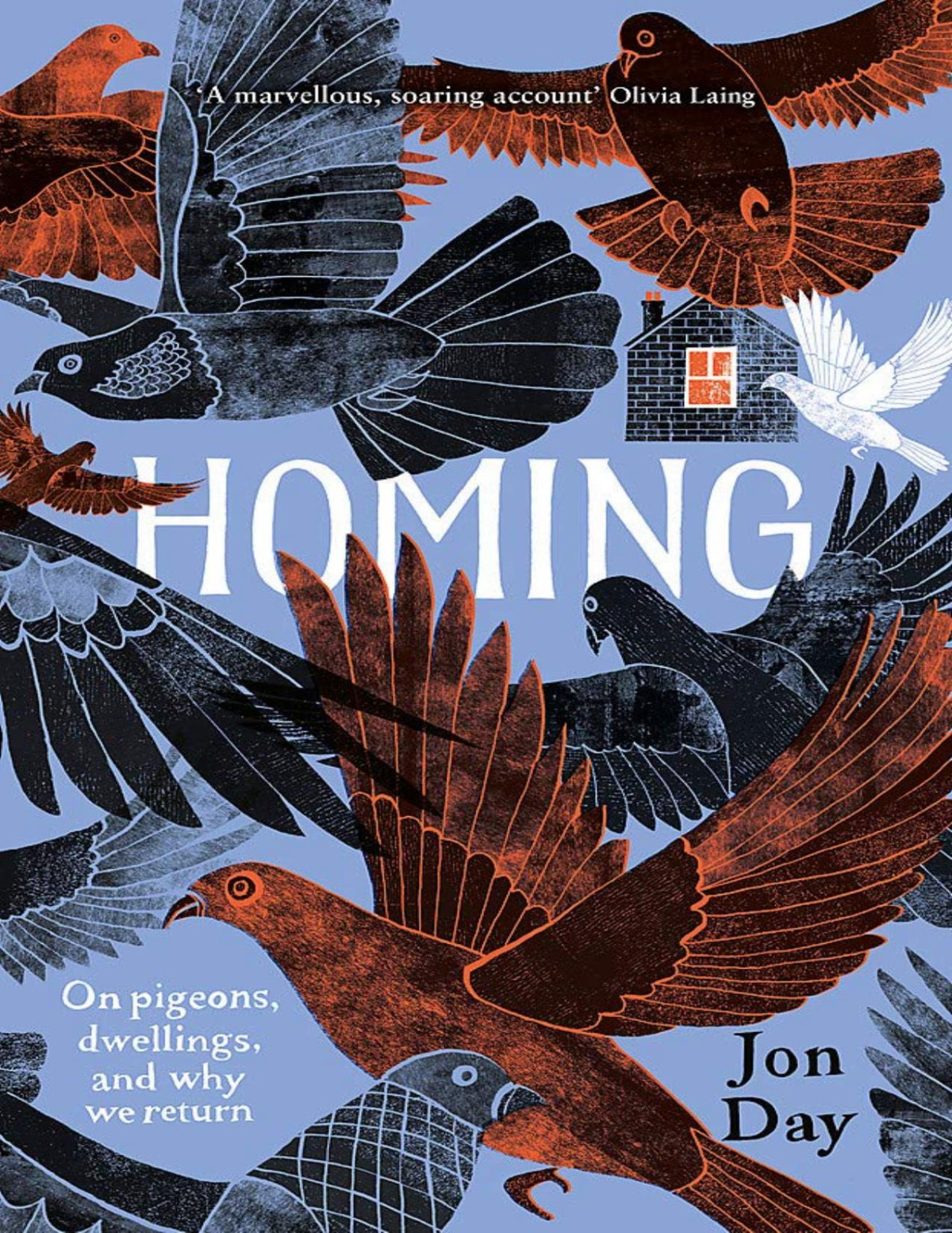 Homing On Pigeons Dwellings And Why We Return Jon Day