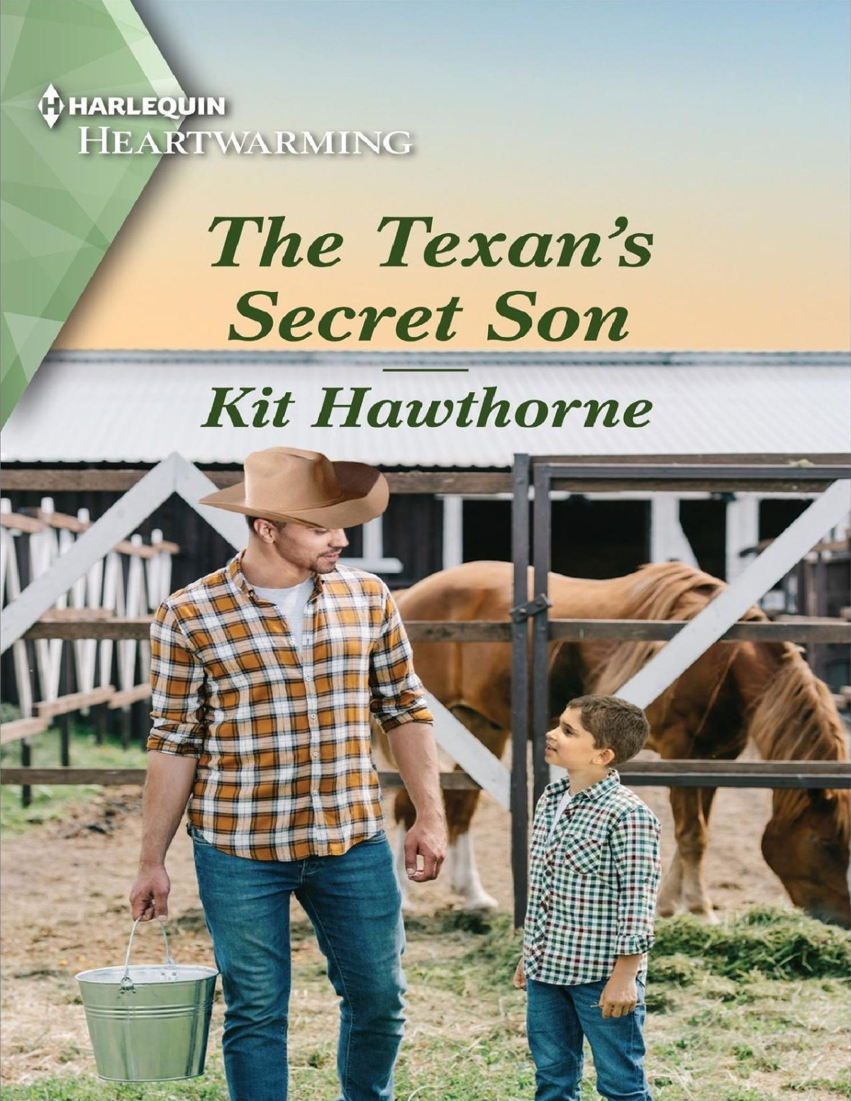 The Texans Secret Son Kit Hawthorne