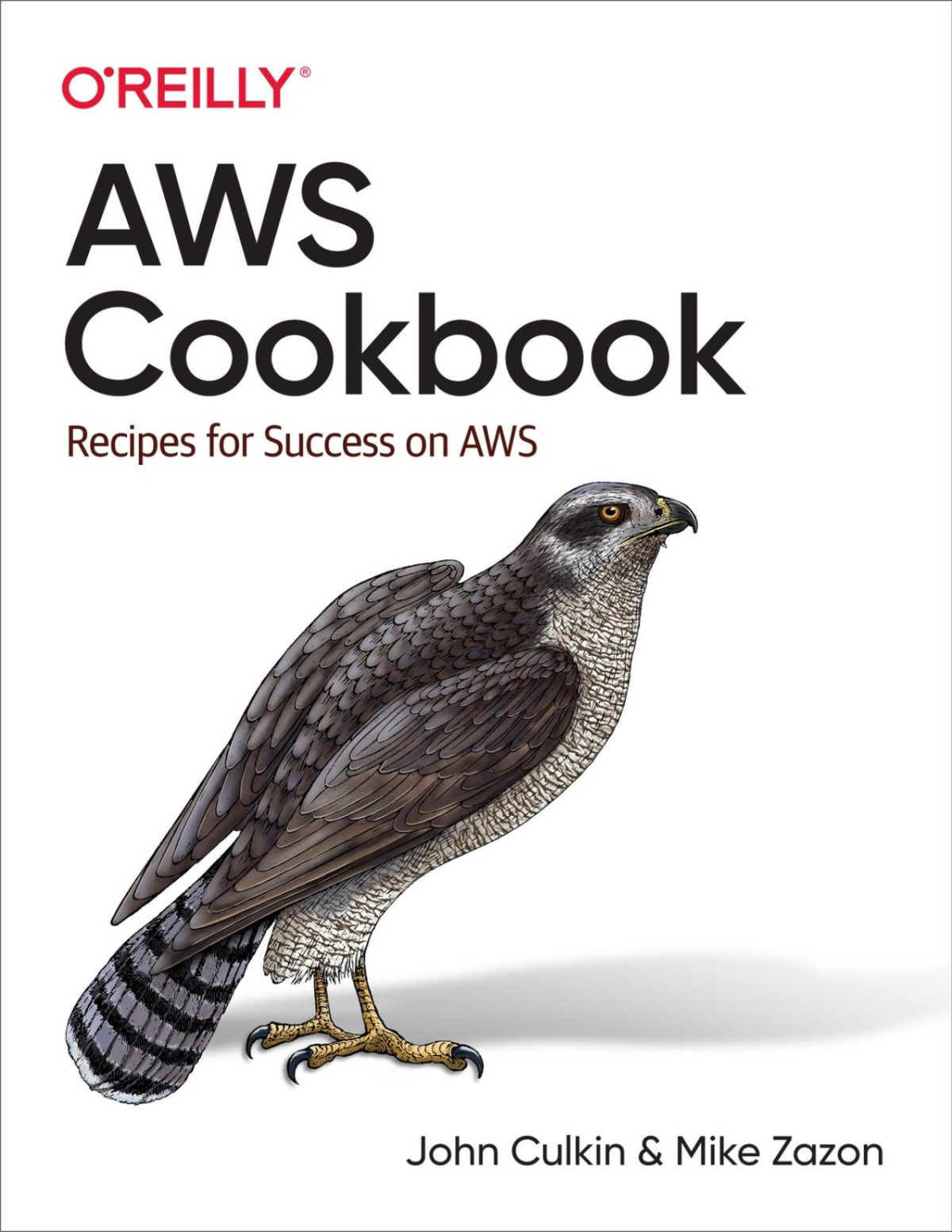 Aws Cookbook Recipes For Success On Aws John Culkin Mike Zazon