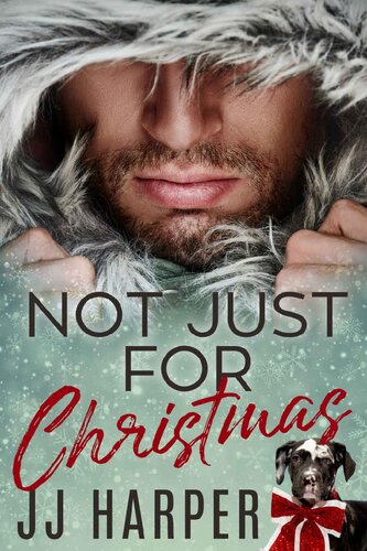 Not Just For Christmas Jj Harper
